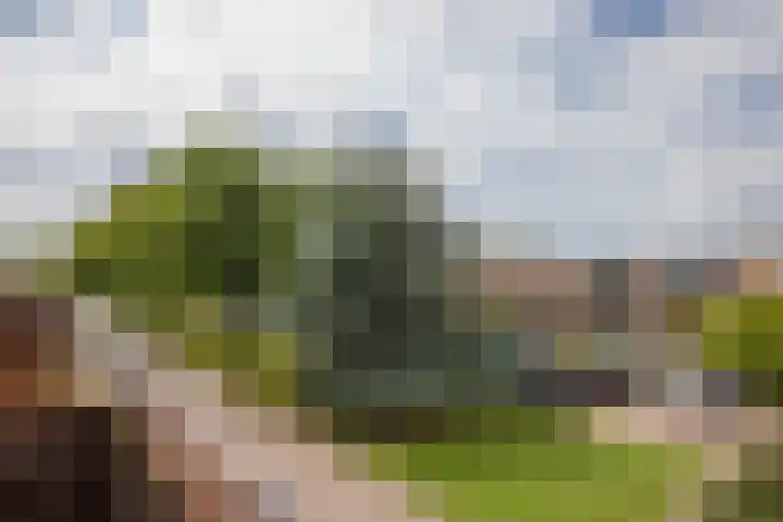 Julianaweg 124 Utrecht thumbnail 61
