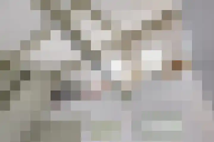 Julianaweg 124 Utrecht thumbnail 63
