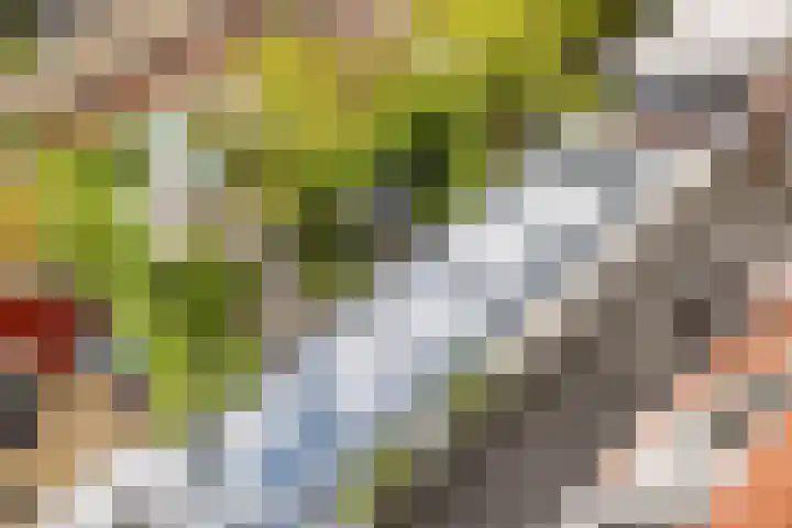 Julianaweg 124 Utrecht thumbnail 64