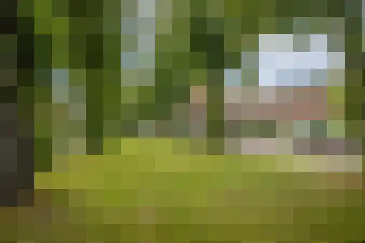 Julianaweg 124 Utrecht thumbnail 68