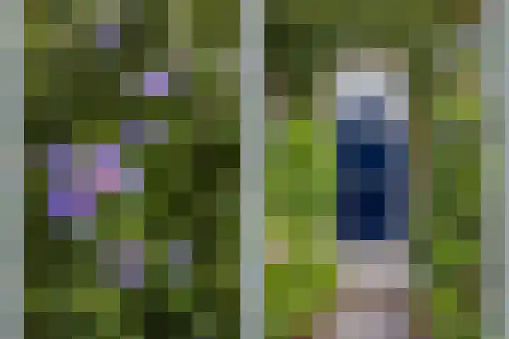Julianaweg 124 Utrecht thumbnail 9
