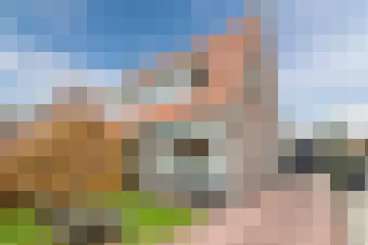 Julianaweg 13 de Wijk