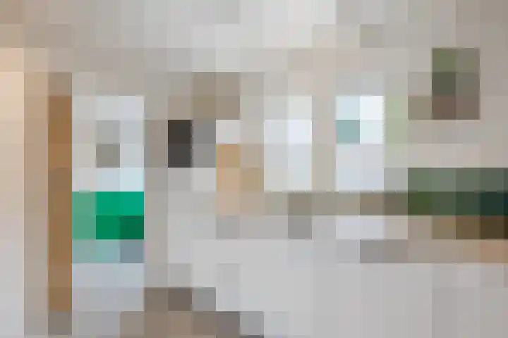 Julianaweg 13 de Wijk thumbnail 15