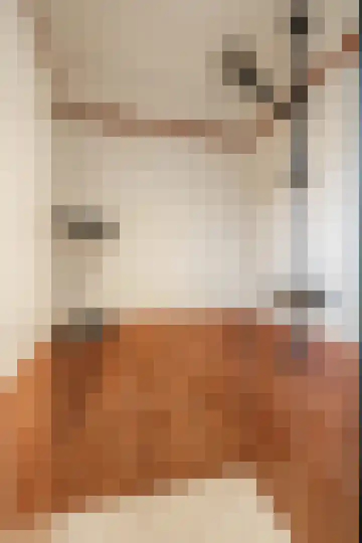 Julianaweg 13 de Wijk thumbnail 20