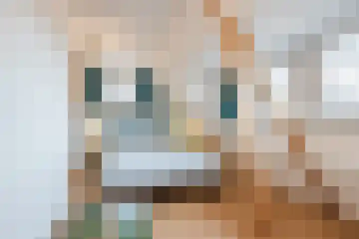 Julianaweg 13 de Wijk thumbnail 23