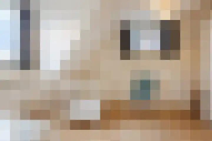 Julianaweg 13 de Wijk thumbnail 27
