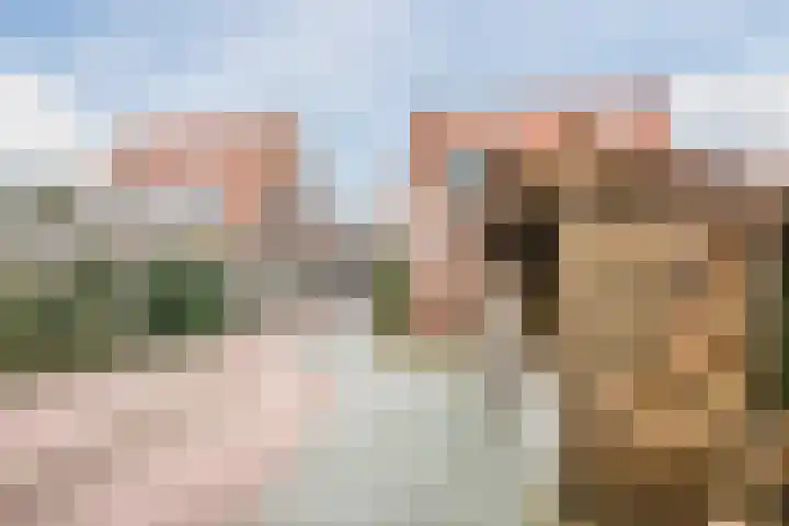 Julianaweg 13 de Wijk thumbnail 34