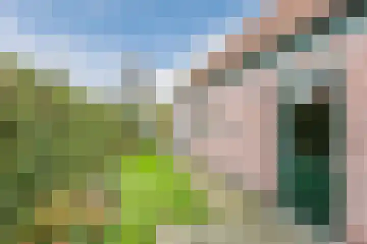 Julianaweg 13 de Wijk thumbnail 37