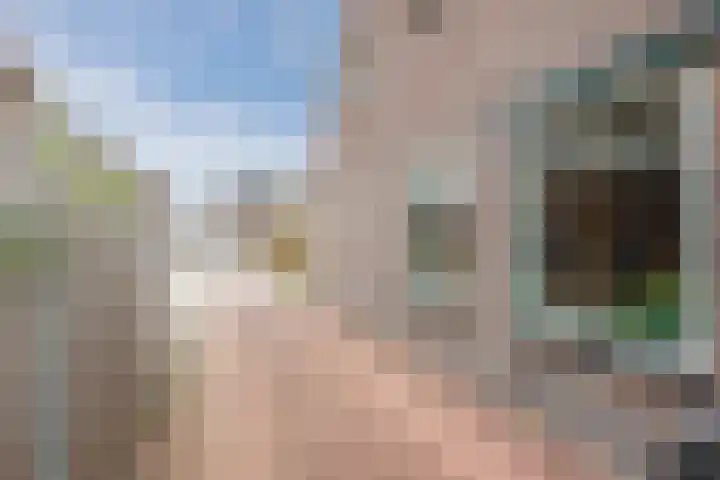 Julianaweg 13 de Wijk thumbnail 4