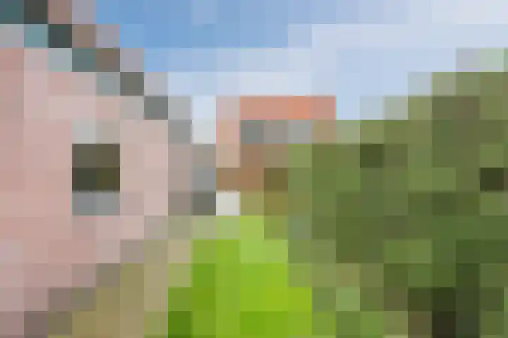 Julianaweg 13 de Wijk thumbnail 40