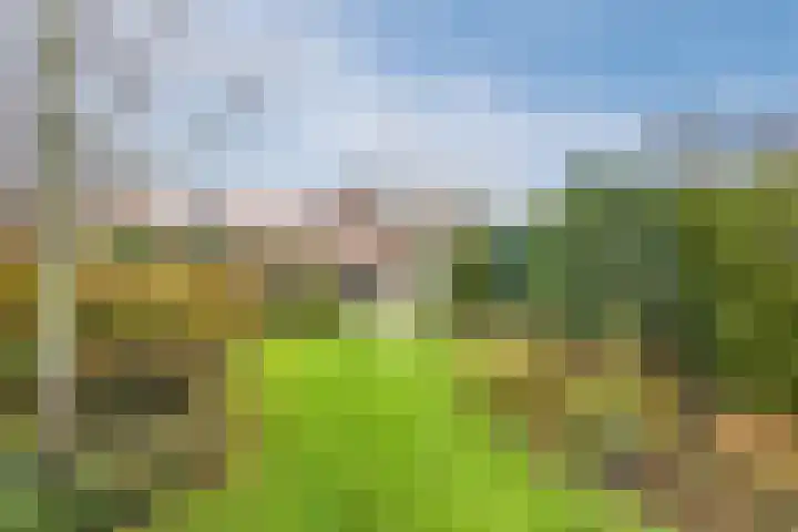 Julianaweg 13 de Wijk thumbnail 41