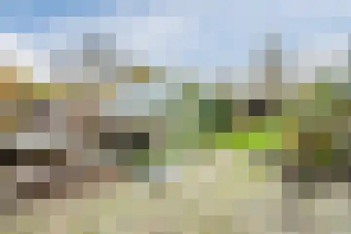 Julianaweg 13 de Wijk thumbnail 42