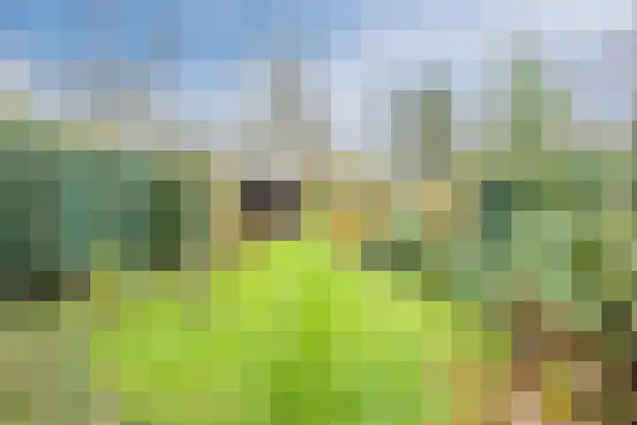Julianaweg 13 de Wijk thumbnail 43