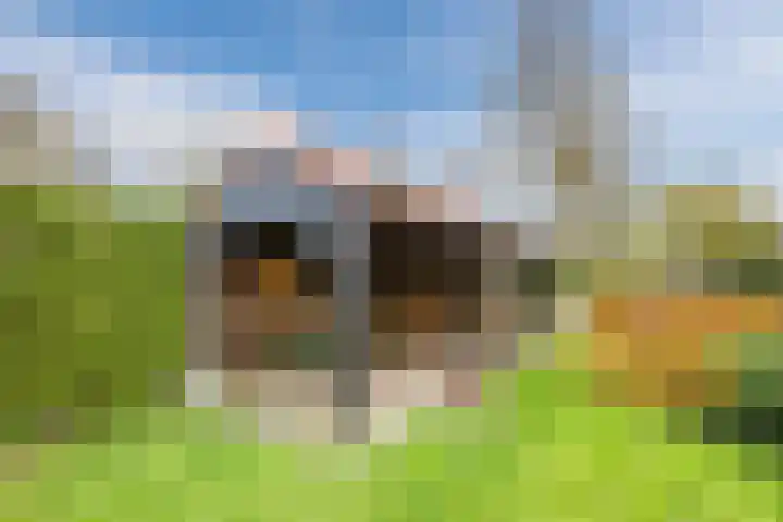 Julianaweg 13 de Wijk thumbnail 44