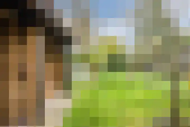 Julianaweg 13 de Wijk thumbnail 46