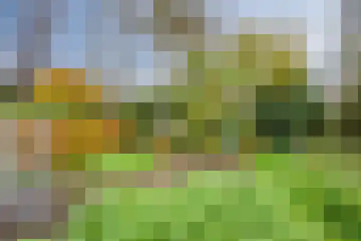 Julianaweg 13 de Wijk thumbnail 47