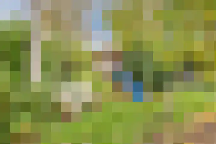 Julianaweg 13 de Wijk thumbnail 48
