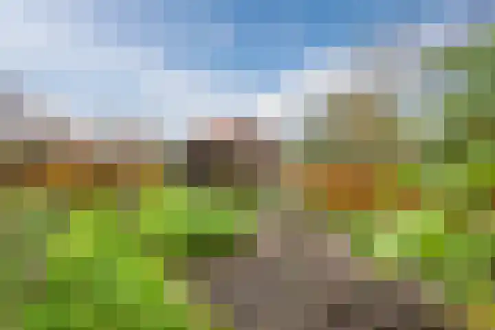 Julianaweg 13 de Wijk thumbnail 49