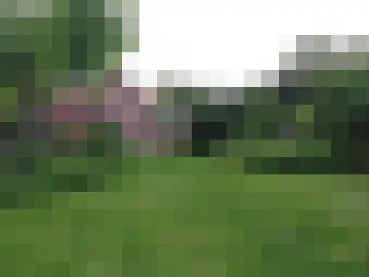 Julianaweg 13 de Wijk thumbnail 53