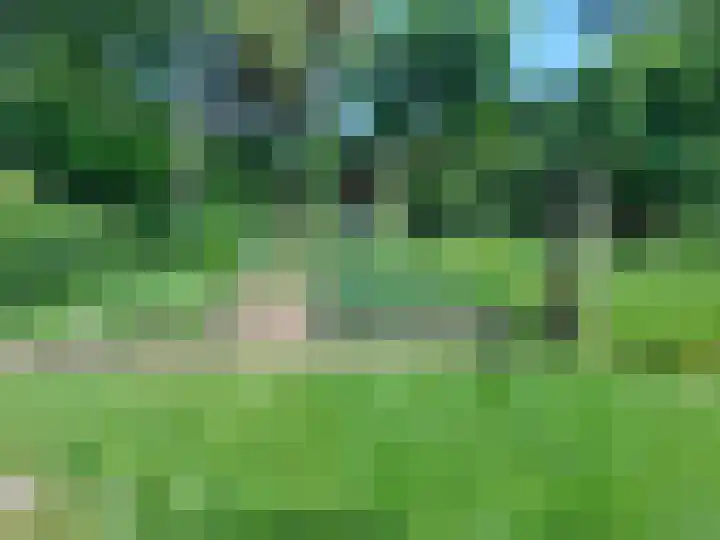 Julianaweg 13 de Wijk thumbnail 55