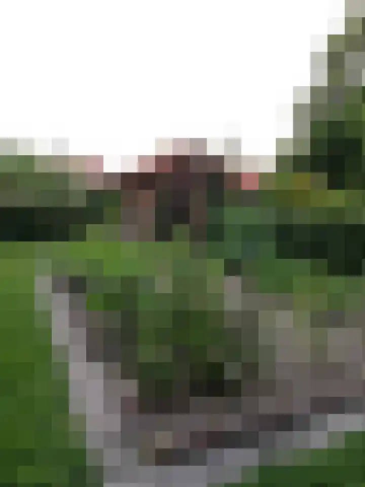Julianaweg 13 de Wijk thumbnail 56