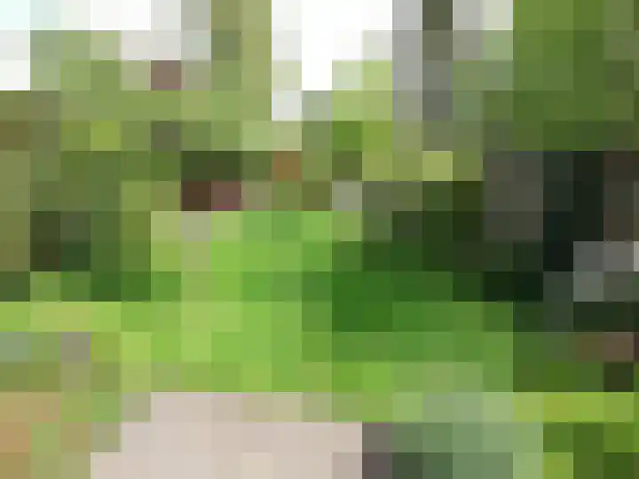 Julianaweg 13 de Wijk thumbnail 57