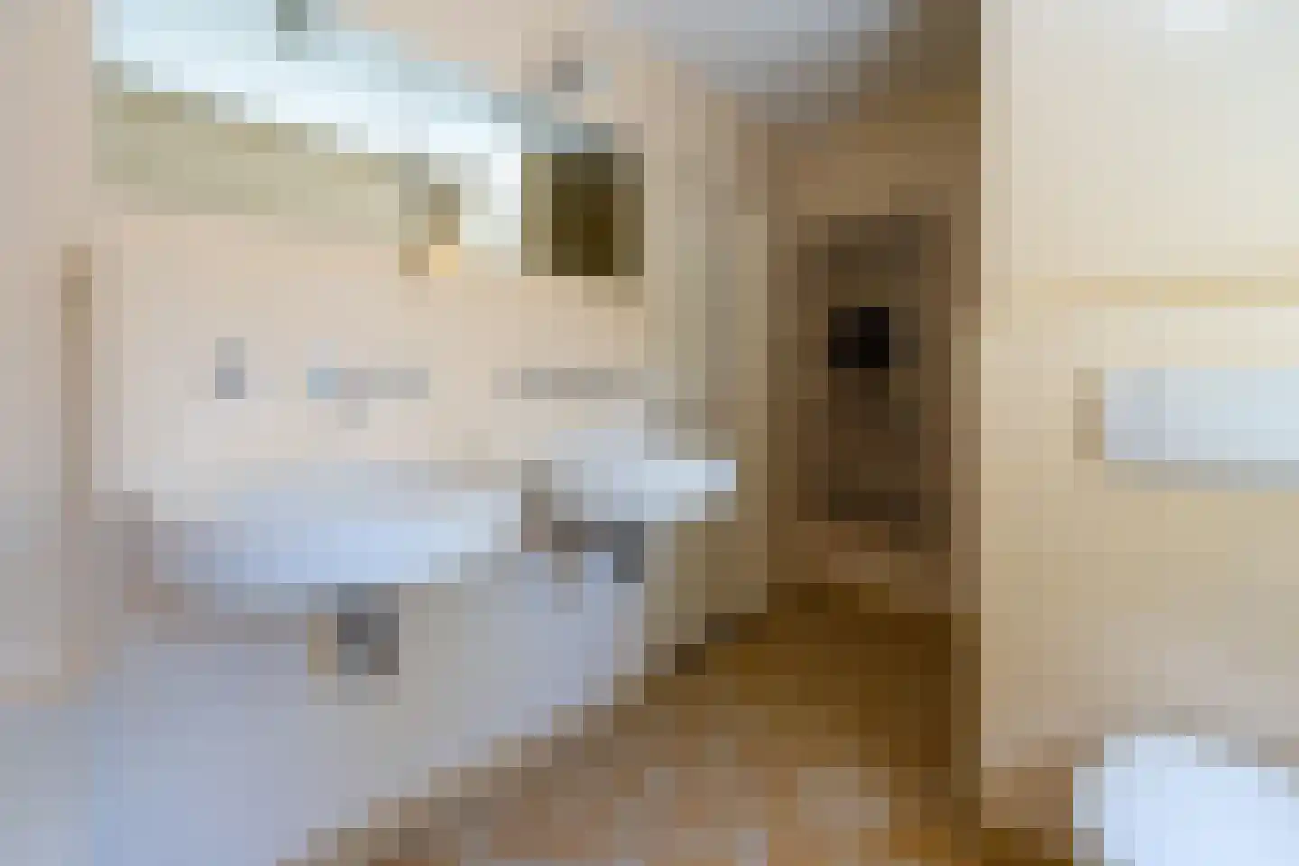 Julianaweg 13 Doorn thumbnail 30