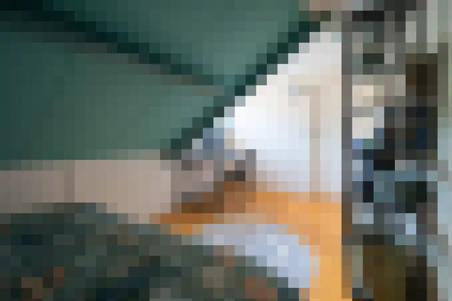 Julianaweg 13 Doorn thumbnail 35