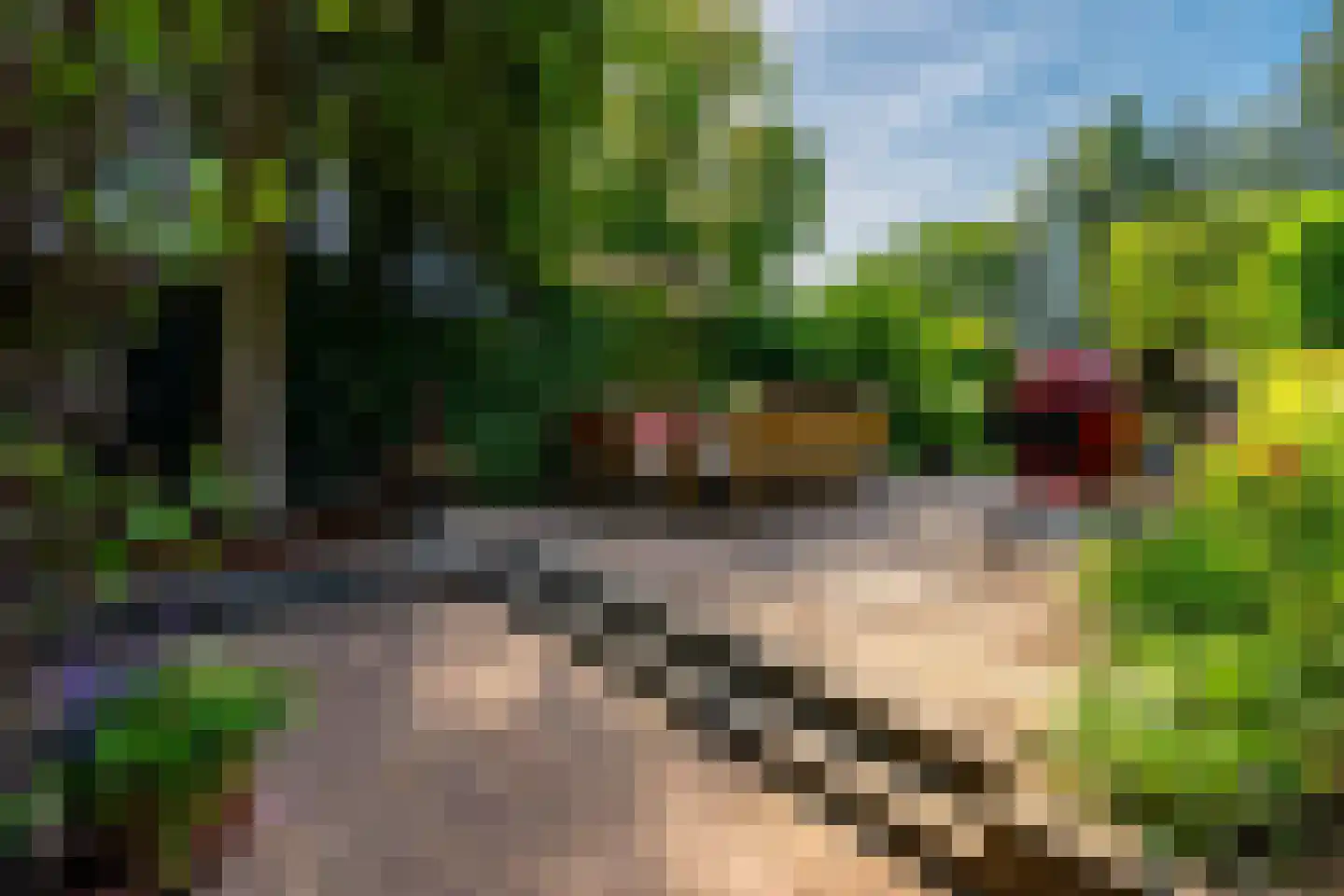 Julianaweg 13 Doorn thumbnail 38