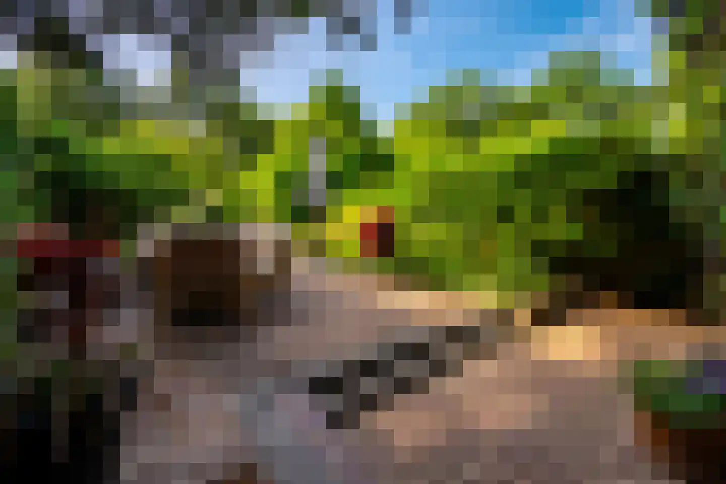 Julianaweg 13 Doorn thumbnail 39
