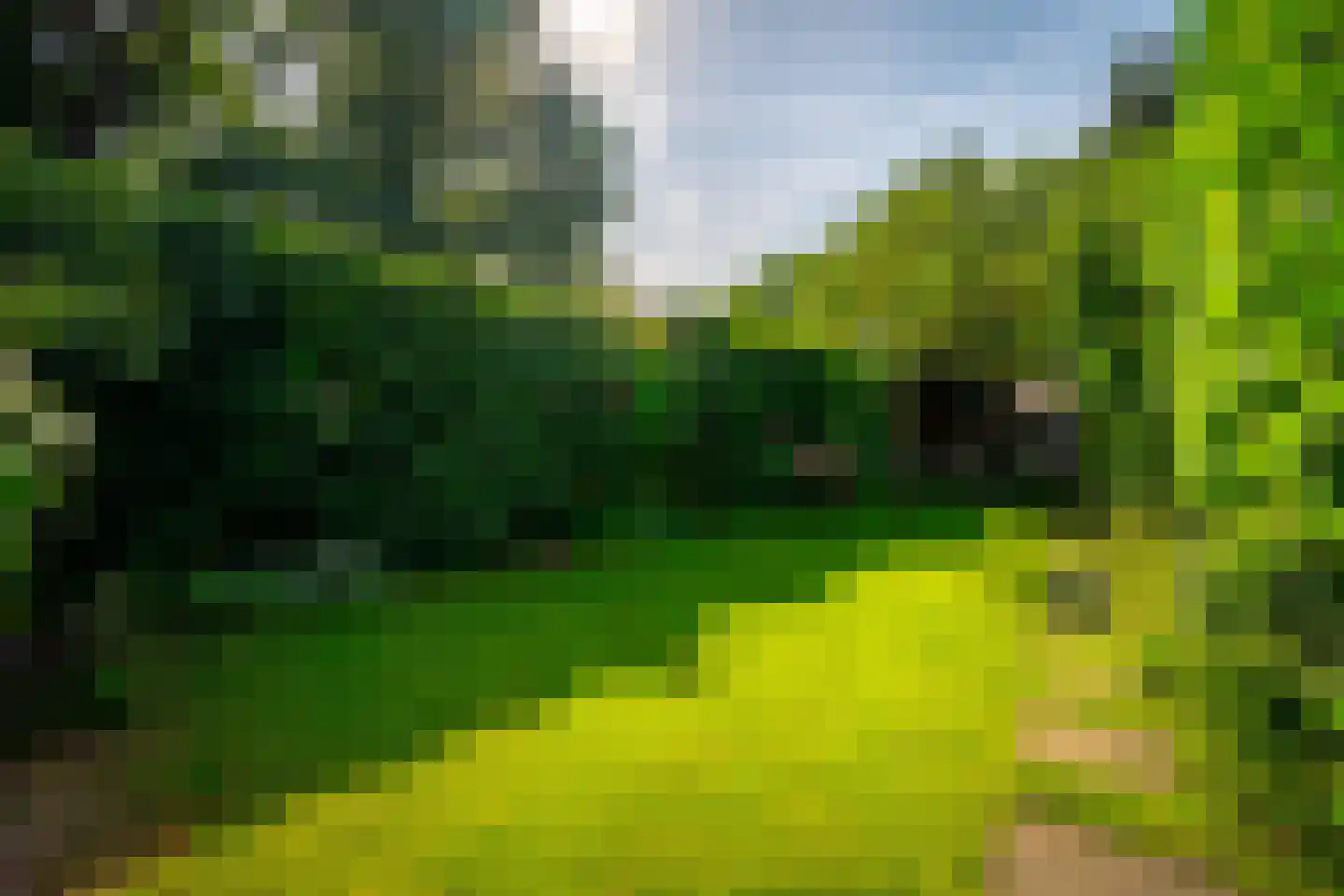 Julianaweg 13 Doorn thumbnail 40