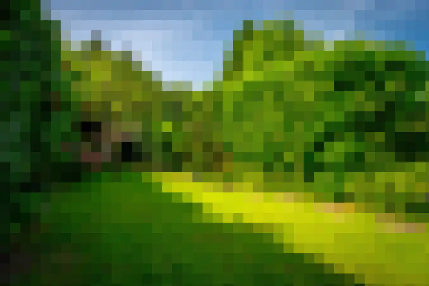 Julianaweg 13 Doorn thumbnail 41
