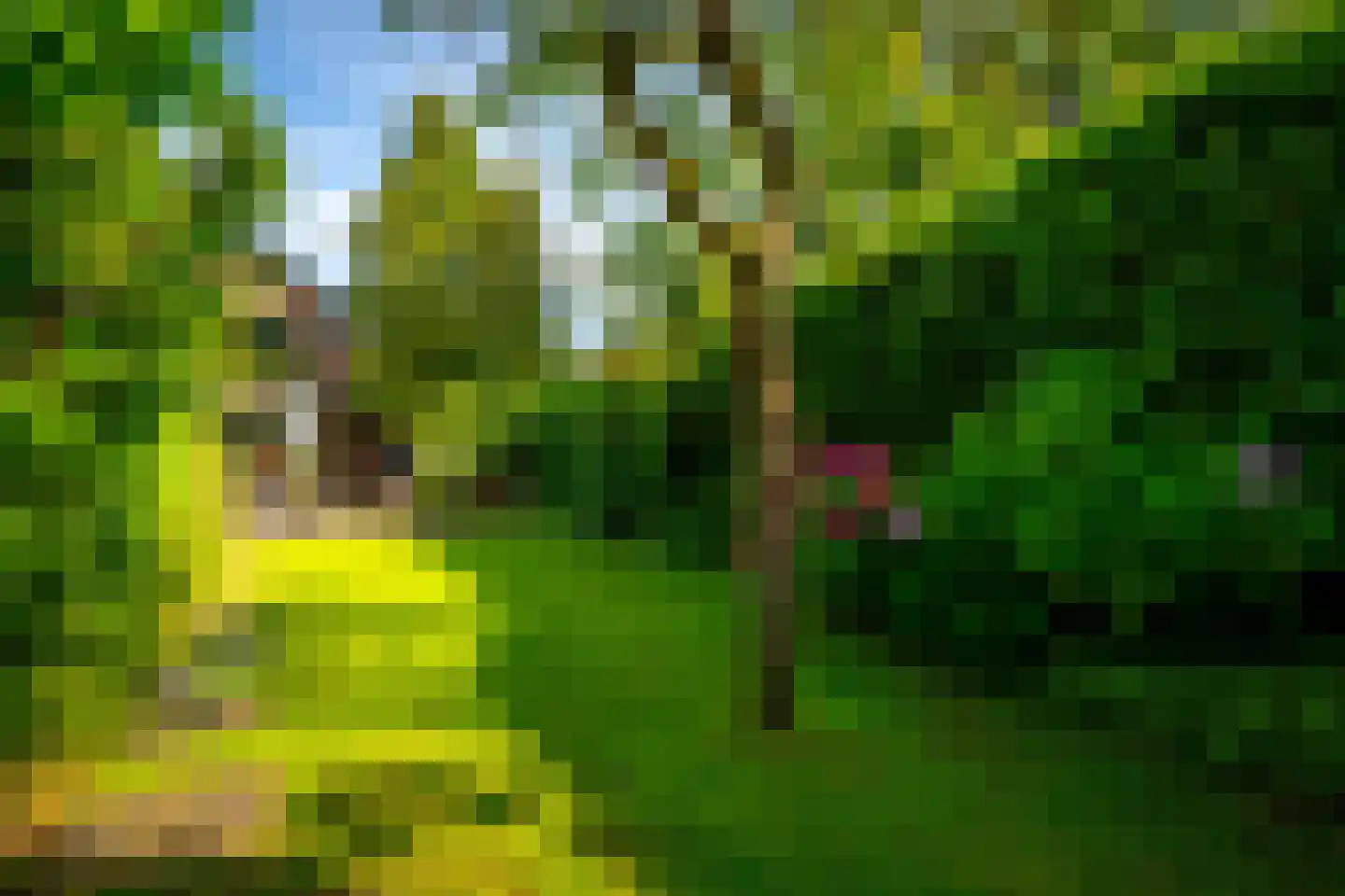 Julianaweg 13 Doorn thumbnail 42