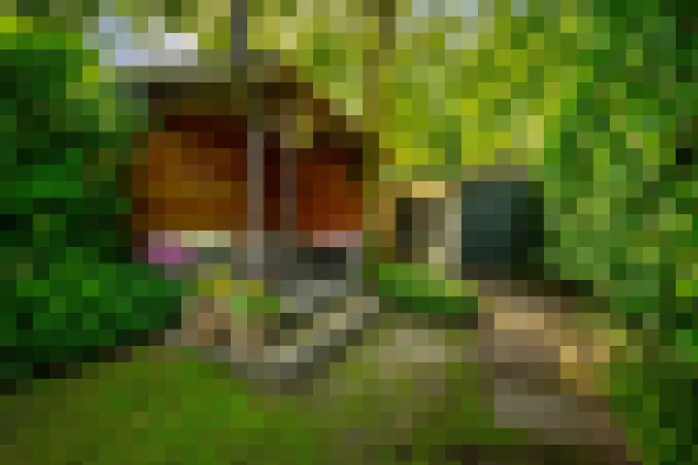 Julianaweg 13 Doorn thumbnail 43