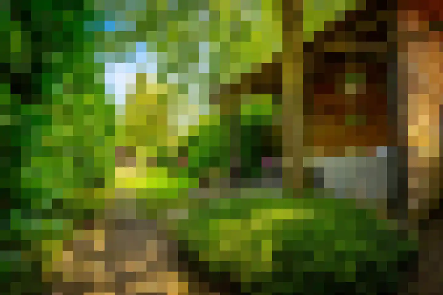 Julianaweg 13 Doorn thumbnail 44