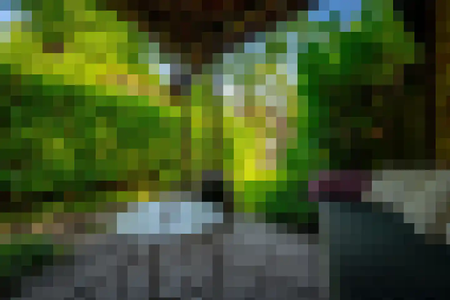 Julianaweg 13 Doorn thumbnail 46
