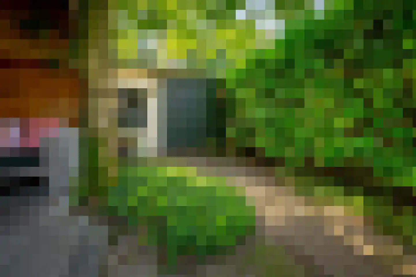 Julianaweg 13 Doorn thumbnail 48