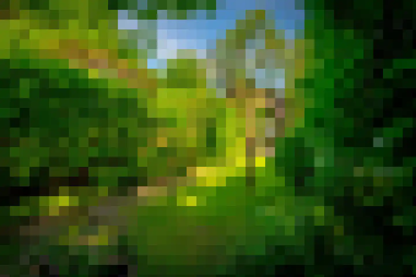 Julianaweg 13 Doorn thumbnail 49