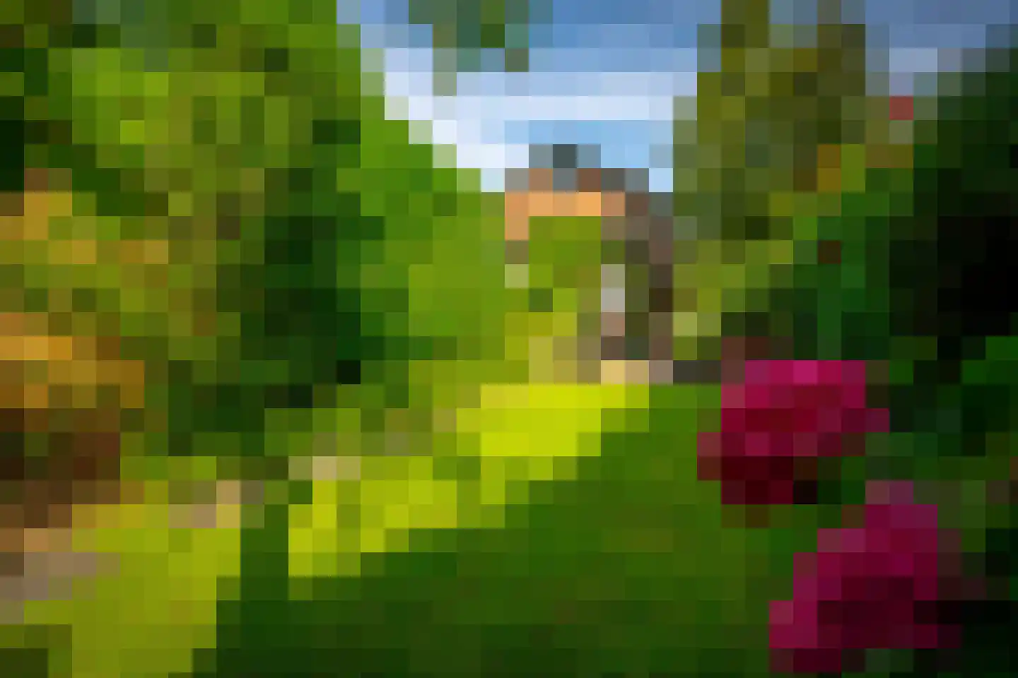 Julianaweg 13 Doorn thumbnail 50
