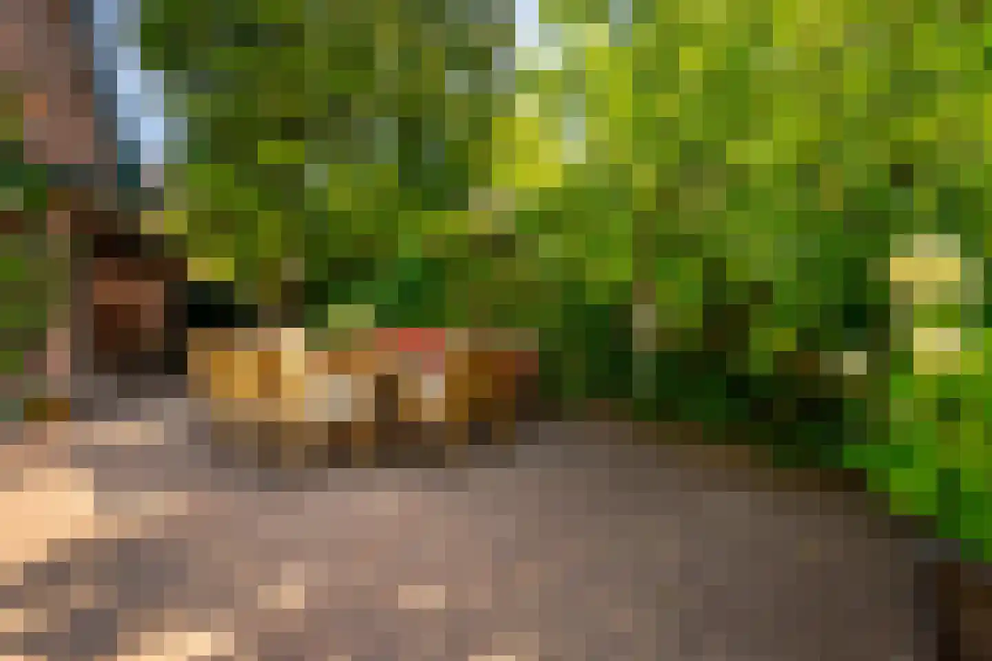 Julianaweg 13 Doorn thumbnail 51