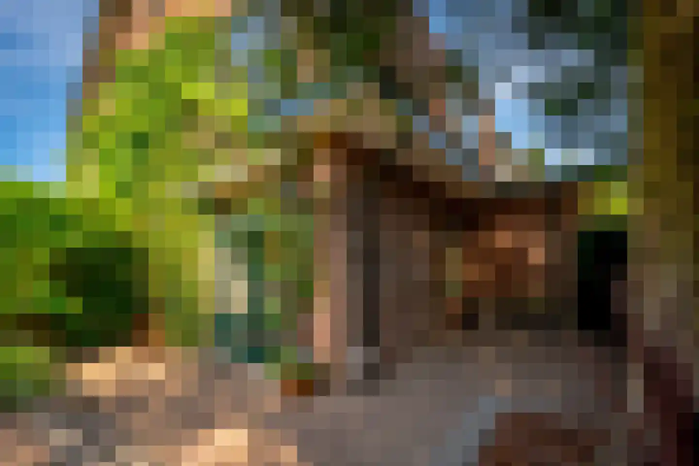 Julianaweg 13 Doorn thumbnail 53