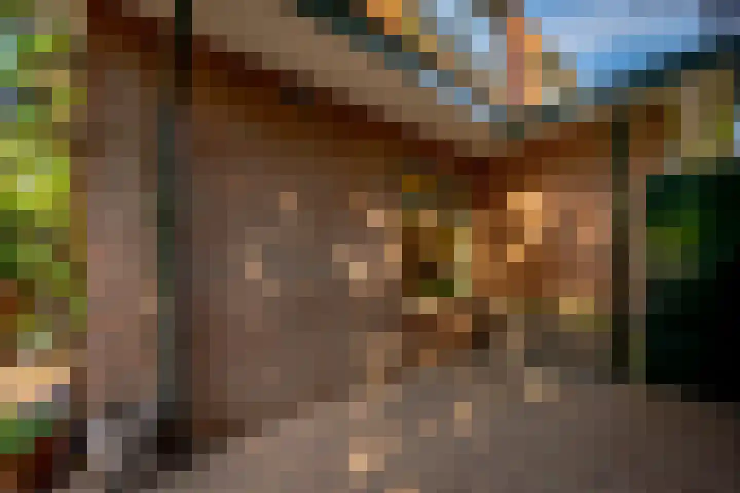 Julianaweg 13 Doorn thumbnail 54