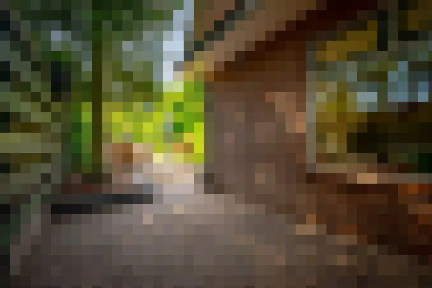 Julianaweg 13 Doorn thumbnail 55