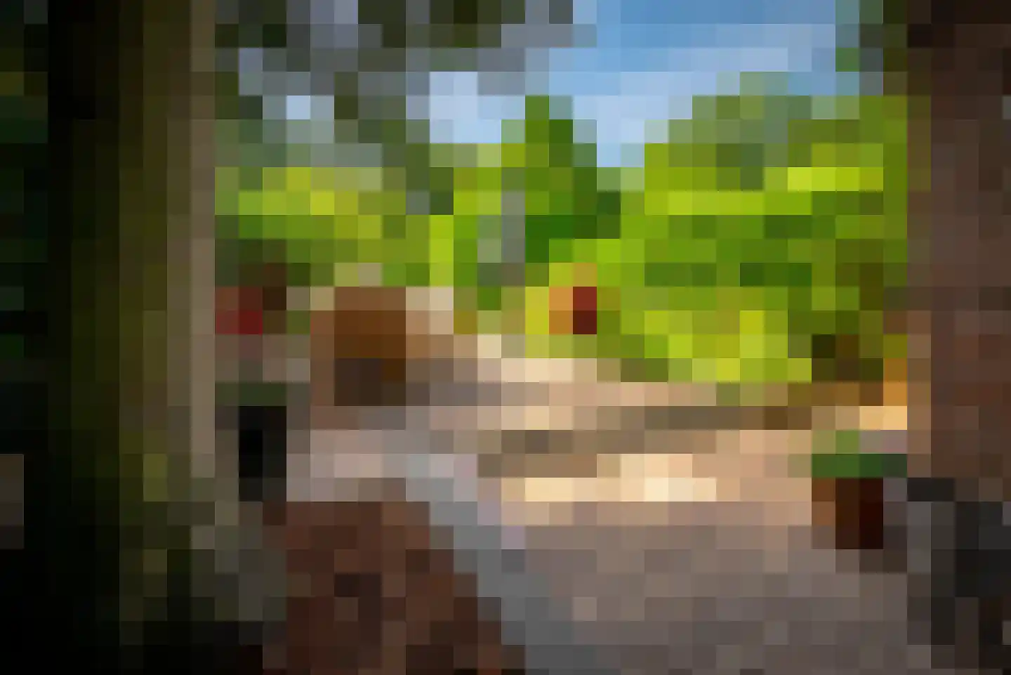 Julianaweg 13 Doorn thumbnail 56