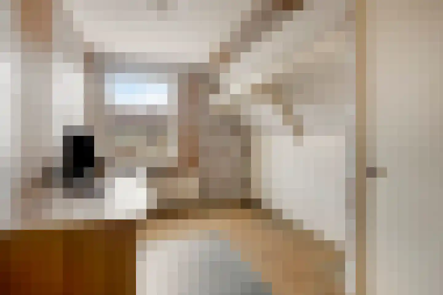 Julianaweg 13 Volendam thumbnail 23