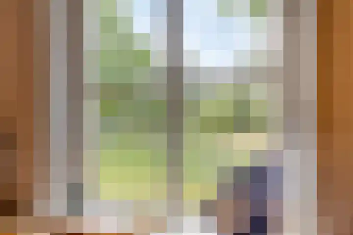 Julianaweg 13 Wouwse Plantage thumbnail 10