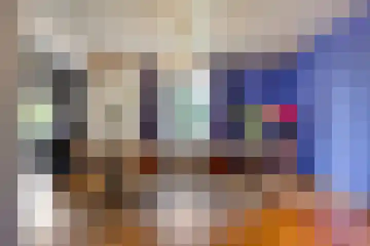 Julianaweg 13 Wouwse Plantage thumbnail 13