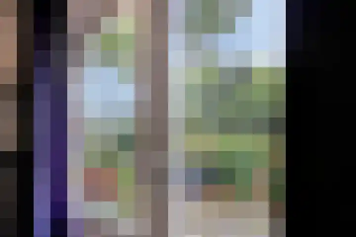 Julianaweg 13 Wouwse Plantage thumbnail 15