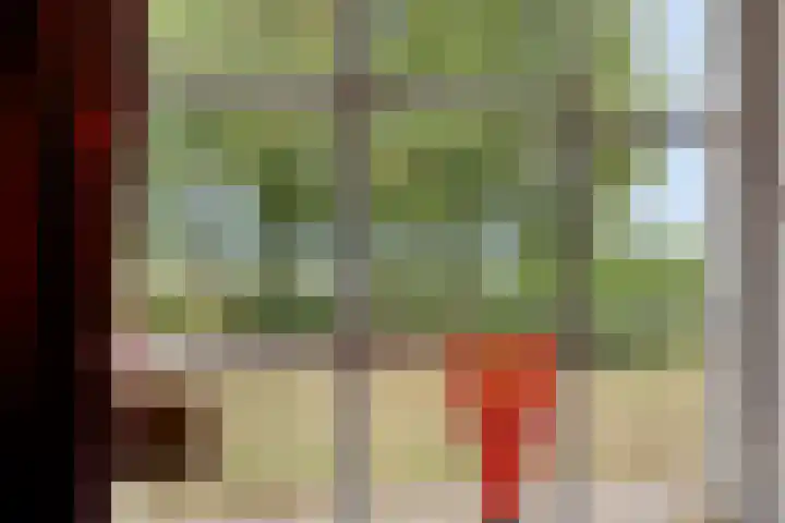 Julianaweg 13 Wouwse Plantage thumbnail 19