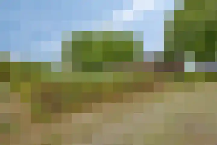 Julianaweg 13 Wouwse Plantage foto 2
